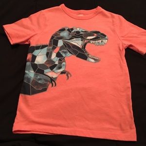 Boys Dino shirt